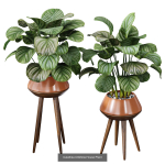 29 Different SETS Of Pot plants  Flowers SET VOL06