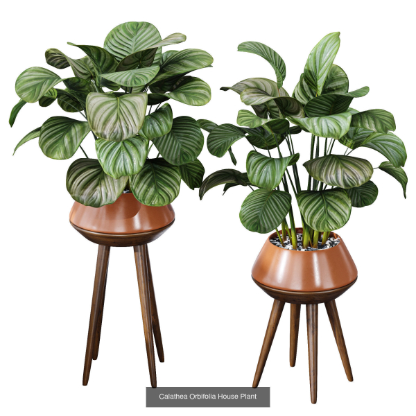 29 Different SETS Of Pot plants  Flowers SET VOL06