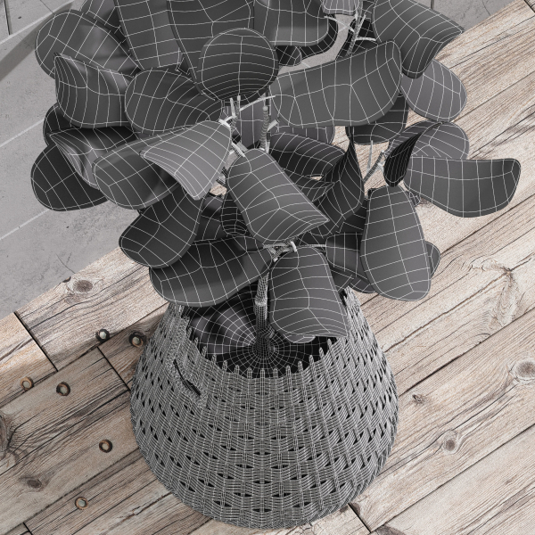 29 Different SETS Of Pot plants  Flowers SET VOL06