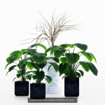 29 Different SETS Of Pot plants  Flowers SET VOL06