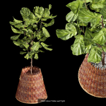 29 Different SETS Of Pot plants  Flowers SET VOL06