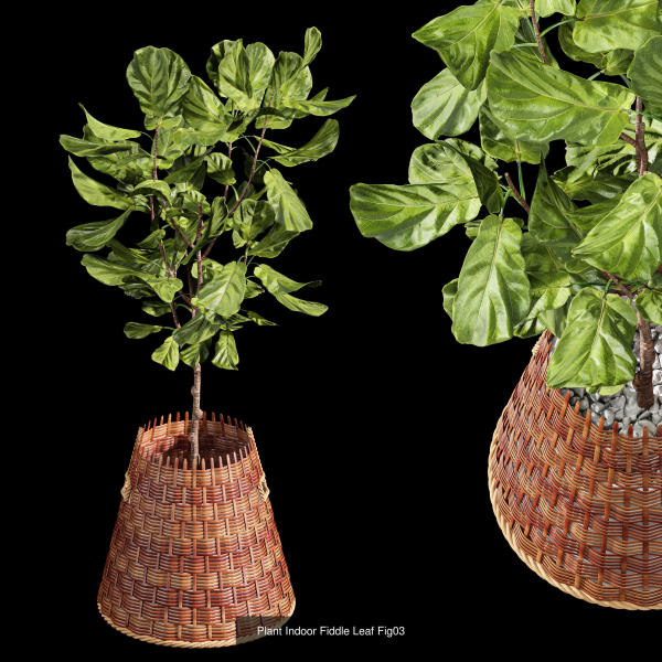 29 Different SETS Of Pot plants  Flowers SET VOL06