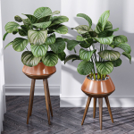 29 Different SETS Of Pot plants  Flowers SET VOL06
