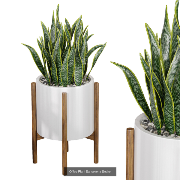 29 Different SETS Of Pot plants  Flowers SET VOL06