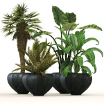 29 Different SETS Of Pot plants  Flowers SET VOL06