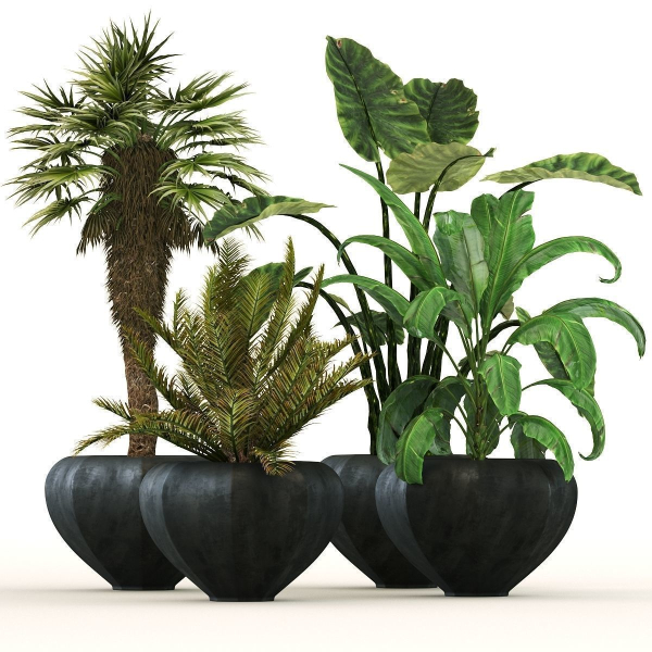 29 Different SETS Of Pot plants  Flowers SET VOL06