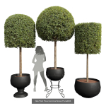 29 Different SETS Of Pot plants  Flowers SET VOL06
