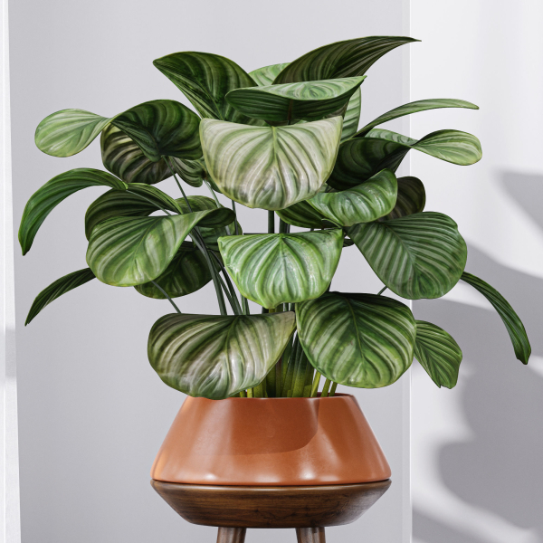 29 Different SETS Of Pot plants  Flowers SET VOL06