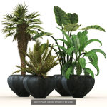 29 Different SETS Of Pot plants  Flowers SET VOL06