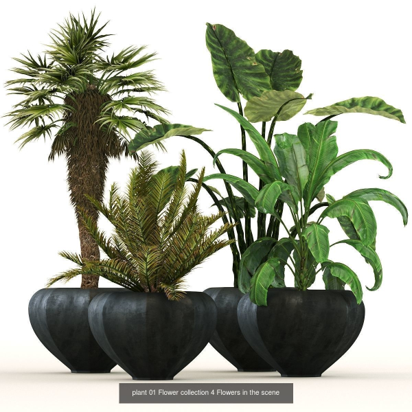 29 Different SETS Of Pot plants  Flowers SET VOL06
