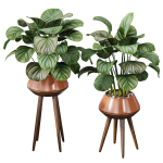 29 Different SETS Of Pot plants  Flowers SET VOL06