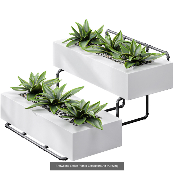 29 Different SETS Of Pot plants  Flowers SET VOL06
