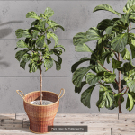 29 Different SETS Of Pot plants  Flowers SET VOL06