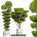 29 Different SETS Of Pot plants  Flowers SET VOL06