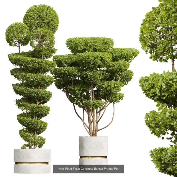 29 Different SETS Of Pot plants  Flowers SET VOL06