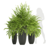 29 Different SETS Of Pot plants  Flowers SET VOL06