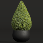 29 Different SETS Of Pot plants  Flowers SET VOL06