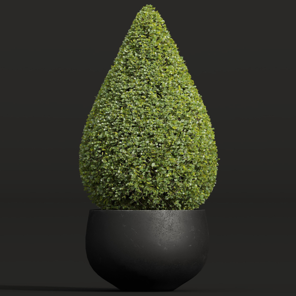 29 Different SETS Of Pot plants  Flowers SET VOL06