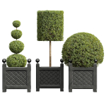 29 Different SETS Of Pot plants  Flowers SET VOL06