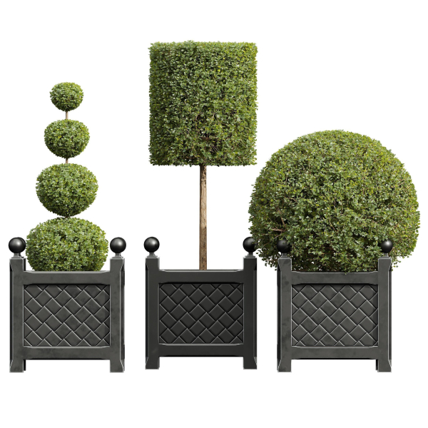 29 Different SETS Of Pot plants  Flowers SET VOL06
