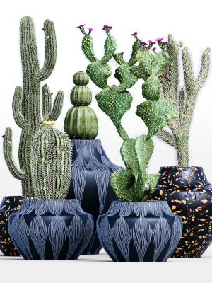29-different-sets-of-pot-plants-flowers-set-vol06-3d-model-e5ef92c30b