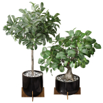 29 Different SETS Of Pot plants  Flowers SET VOL06