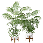 29 Different SETS Of Pot plants  Flowers SET VOL06