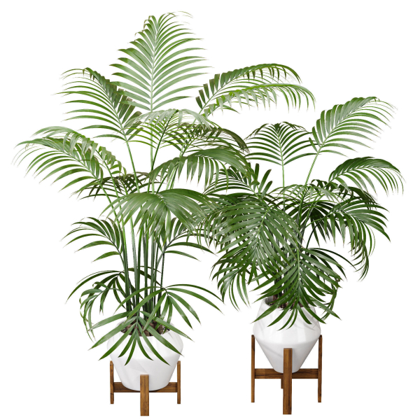 29 Different SETS Of Pot plants  Flowers SET VOL06