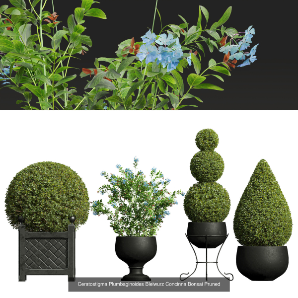 29 Different SETS Of Pot plants  Flowers SET VOL06
