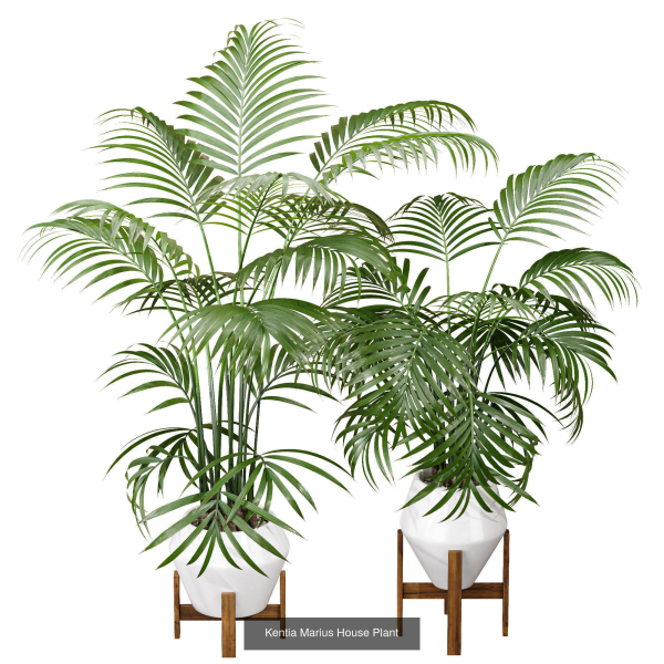 29 Different SETS Of Pot plants  Flowers SET VOL06