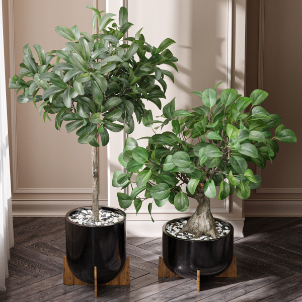 29 Different SETS Of Pot plants  Flowers SET VOL06