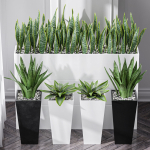 29 Different SETS Of Pot plants  Flowers SET VOL06