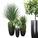 29 Different SETS Of Pot plants  Flowers SET VOL06