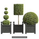 29 Different SETS Of Pot plants  Flowers SET VOL06