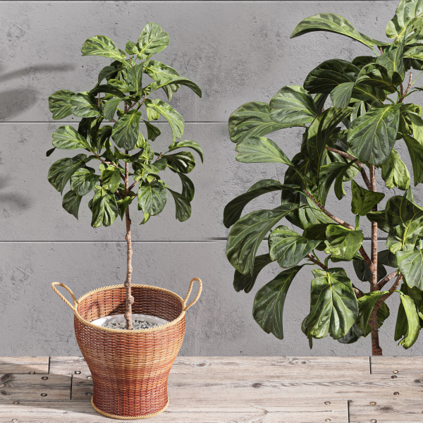 29 Different SETS Of Pot plants  Flowers SET VOL06