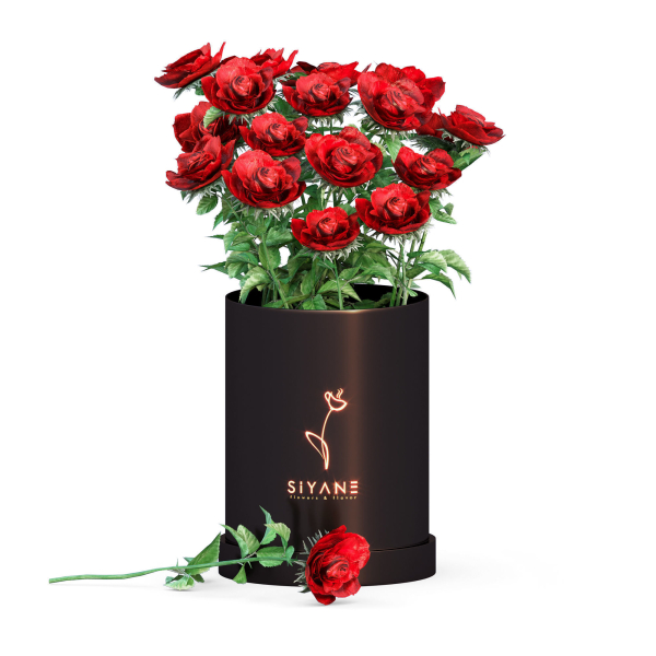 29 Different SETS Of Pot plants  Flowers SET VOL06