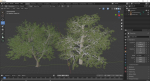 2diffrent tree European Beech 2 trees Models in the scene