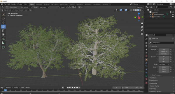 2diffrent tree European Beech 2 trees Models in the scene