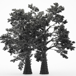 2diffrent tree Sassafras 2 trees Models in the scene