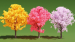 3 Colorful Trees