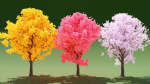 3 Colorful Trees