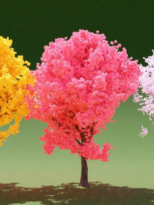 3 Colorful Trees