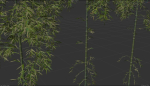 3 high quality realistic bamboo