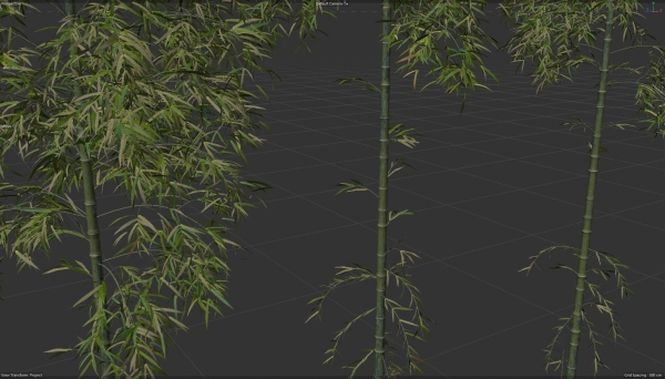 3 high quality realistic bamboo