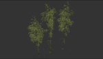 3 high quality realistic bamboo
