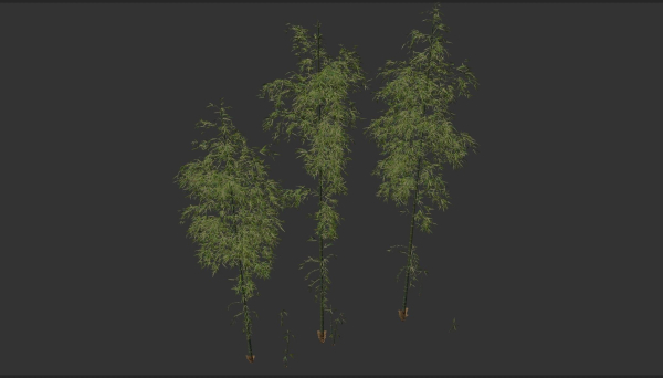 3 high quality realistic bamboo