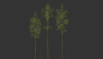3 high quality realistic bamboo