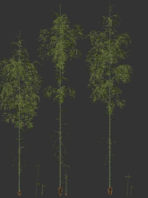 3 high quality realistic bamboo