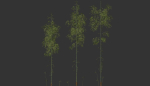 3 high quality realistic bamboo