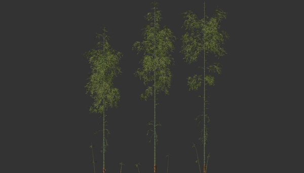 3 high quality realistic bamboo